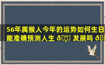 56年属猴人今年的运势如何生日能准确预测人生 🦅 发展吗 🐝